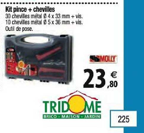 kit pince + chevilles molly