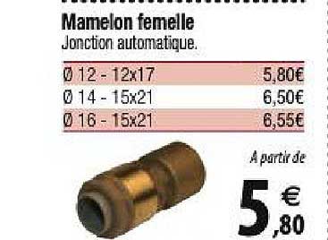 mamelon femelle
