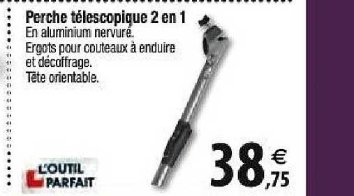 Perche Télescopique 2 En 1