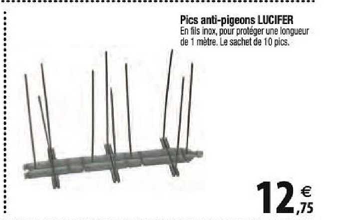 pics anti-pigeons lucifer