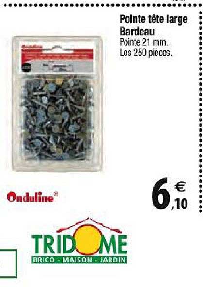 pointe tête large bardeau