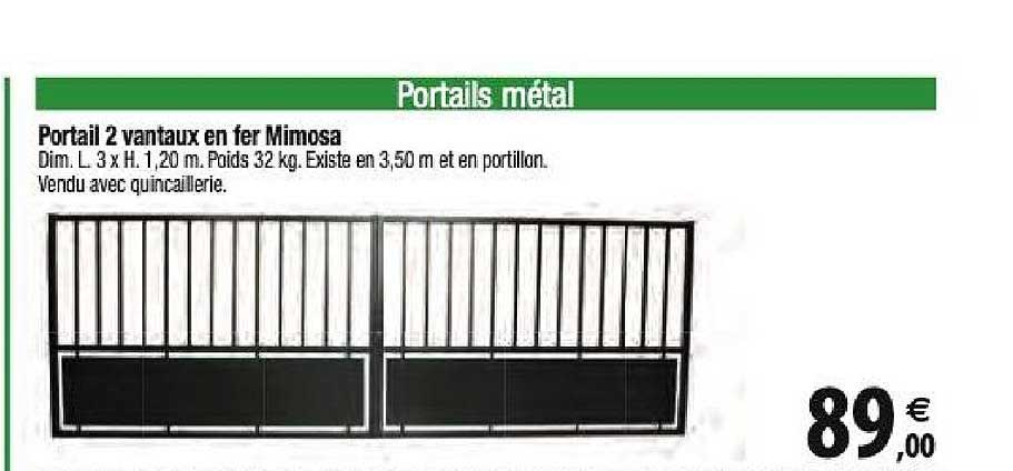 portail 2 vantaux en fer mimosa