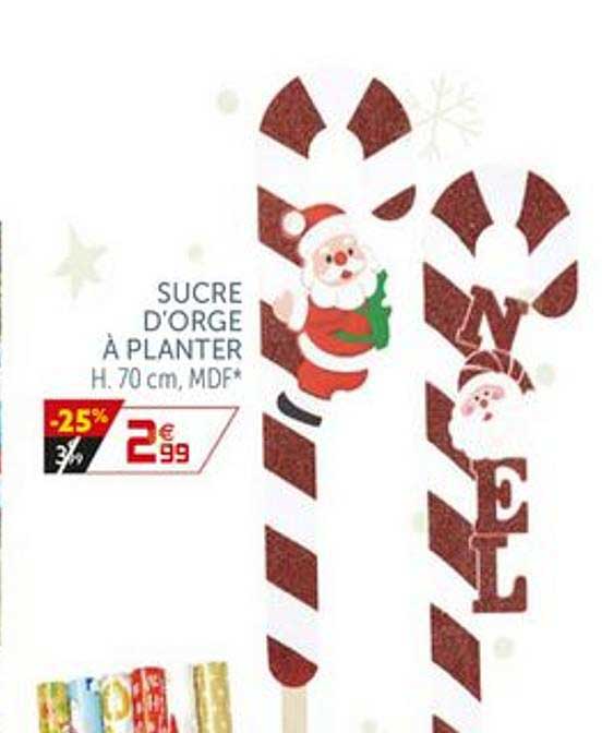 sucre d'orge à planter