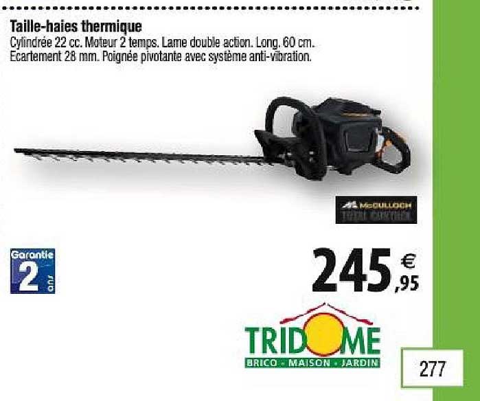 taille-haies thermique