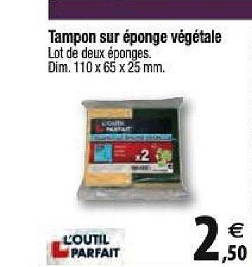 Tampon Sur éponge Végétale