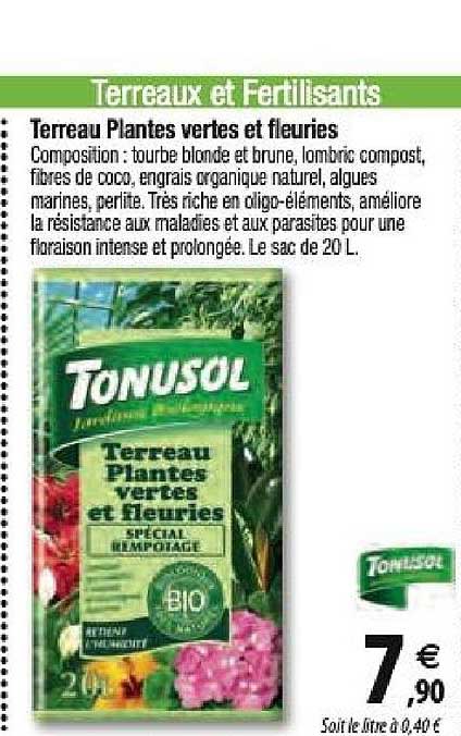 terreau plantes vertes et fleuries
