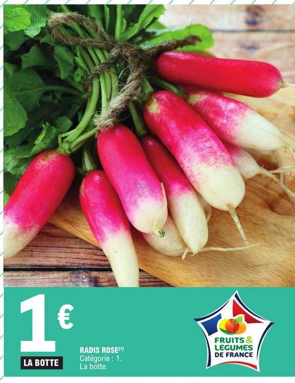 Radis Rose