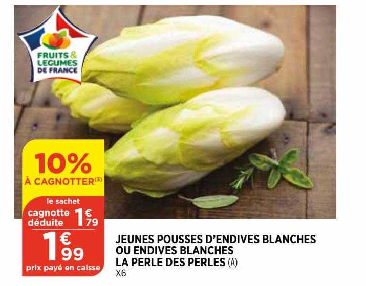 jeunes pousses d'endives blanches ou endives blanches la perle des perles