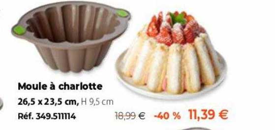 moule à charlotte 26.5 x 23.5 cm