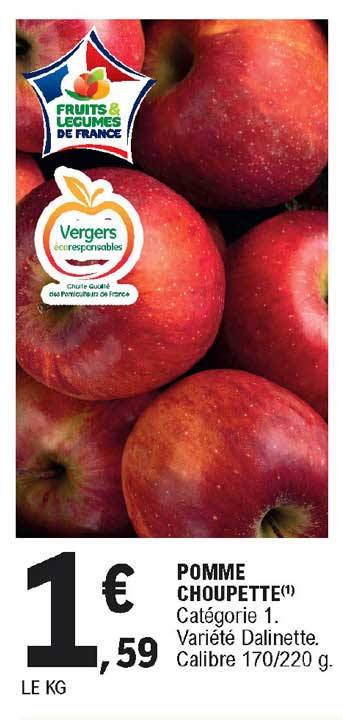 pomme choupette dalinette
