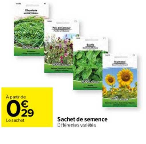 sachet de semence