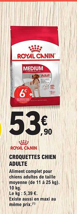 croquettes chien adulte royal canin