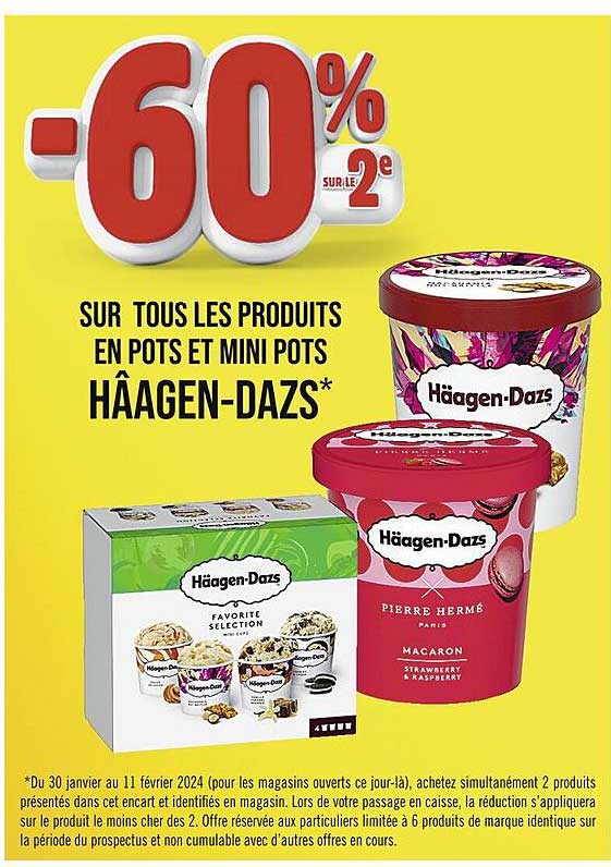 les produits en pots et mini pots häagen-dazs
