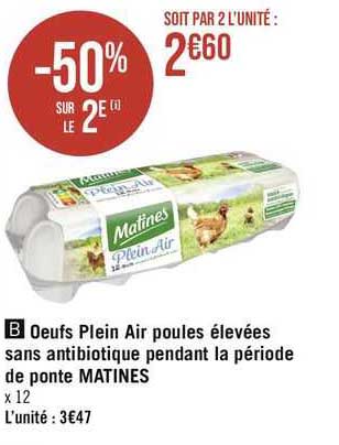 oeufs plein air poules élevées sans antibiotique pendant la période de ponte matines