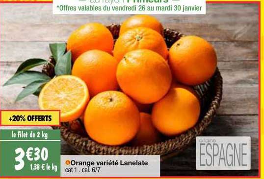 orange variété lanelate