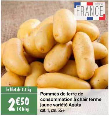 pommes de terre de consommation à chair ferme jaune variété agata