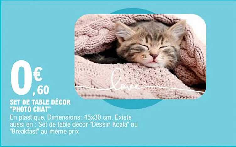 Set De Table Décor "photo Chat"
