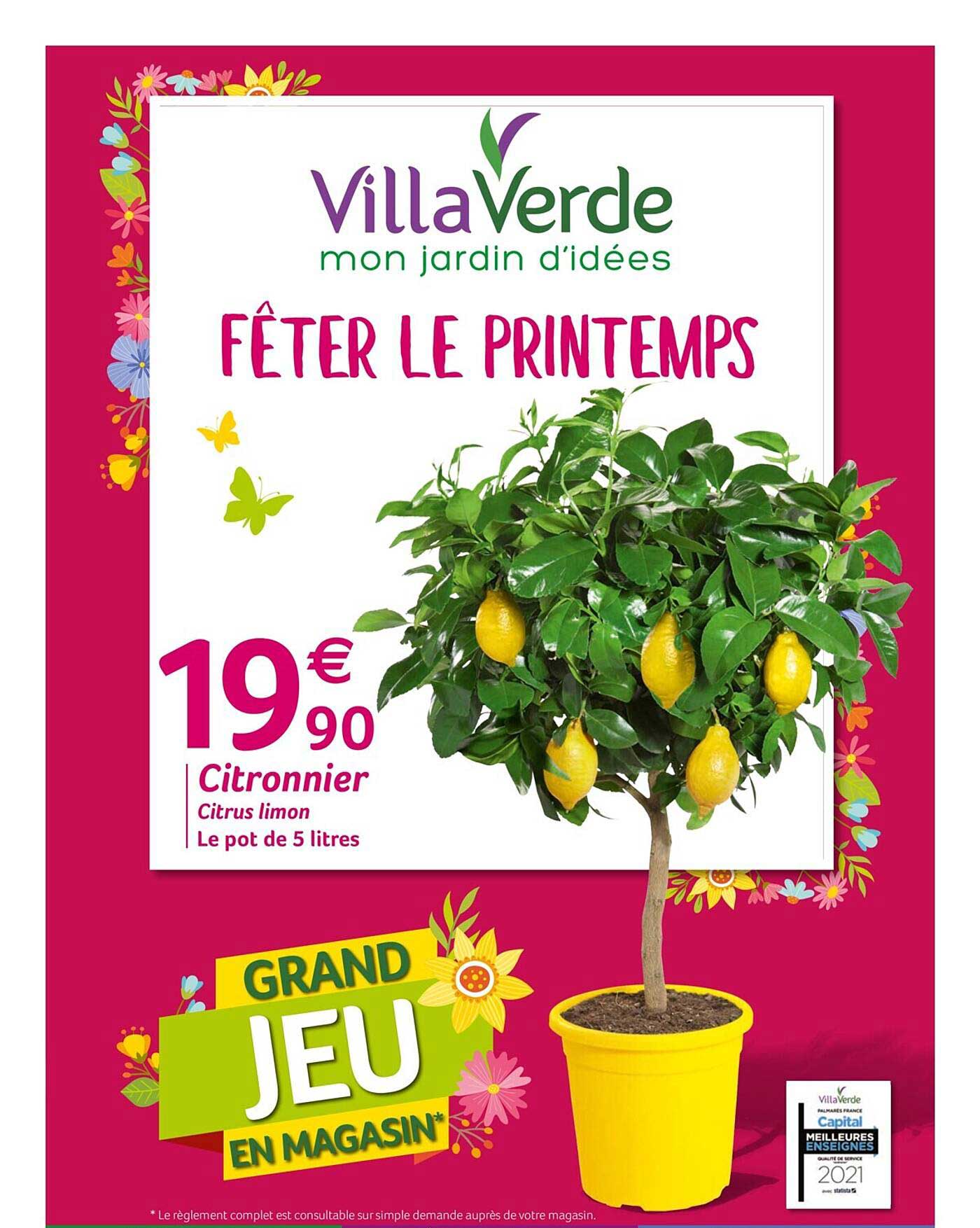 Citronnier