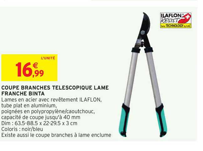 coupe branches télescopique lame franche binta