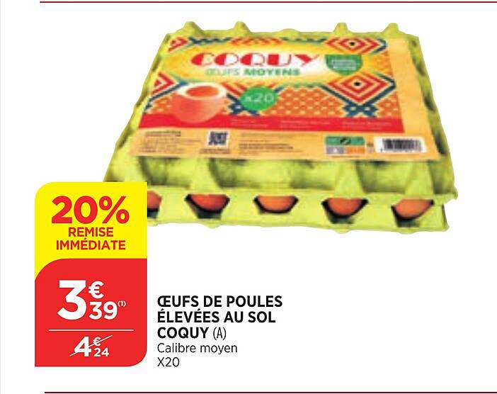 oeufs de poules élevées au sol coquy
