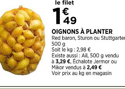 oignons à planter