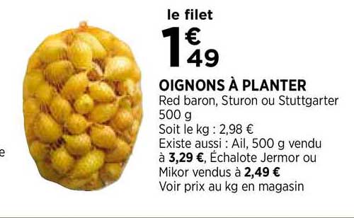 oignons à planter
