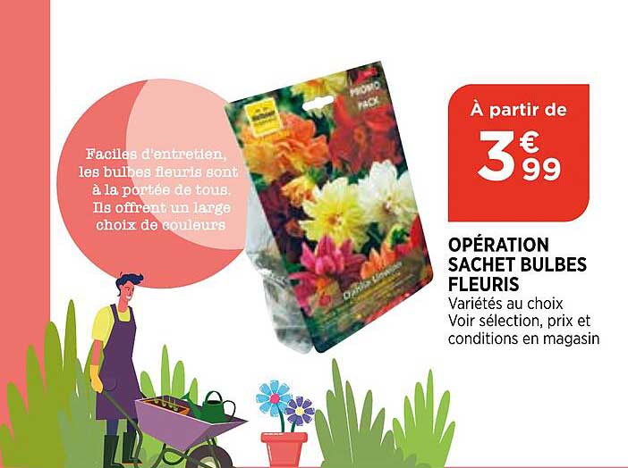 opération sachet bulbes fleuris