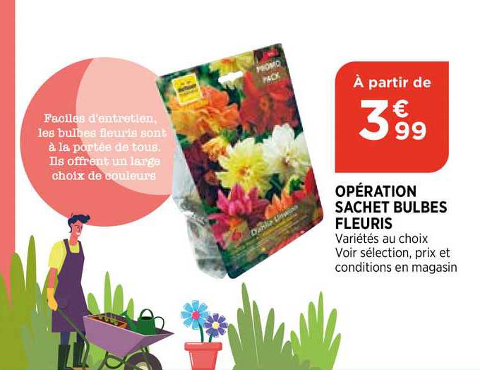 opération sachet bulbes fleuris