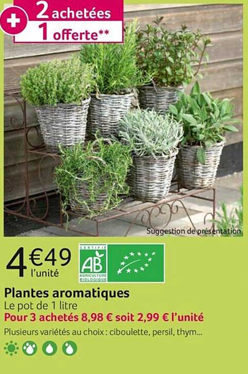 Plantes Aromatiques
