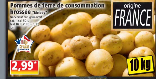 pommes de terre de consommation brossée "melody"