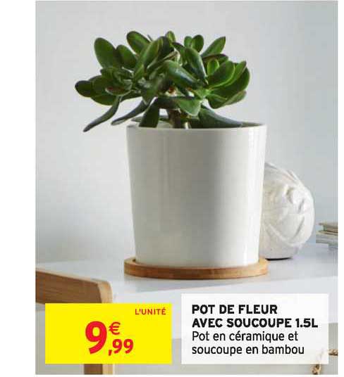 pot de fleur avec soucoupe