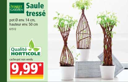 saule tressé finest garden