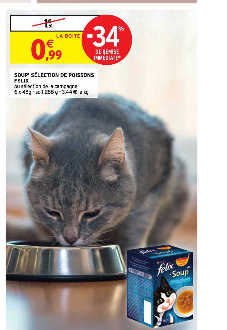 soup' sélection de poissons felix