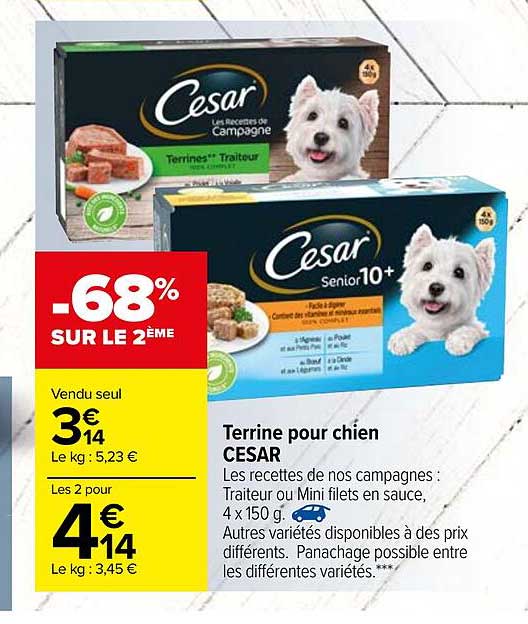 Terrine Pour Chien Cesar