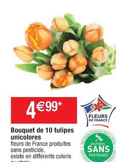 Bouquet De 10 Tulipes Unicolores
