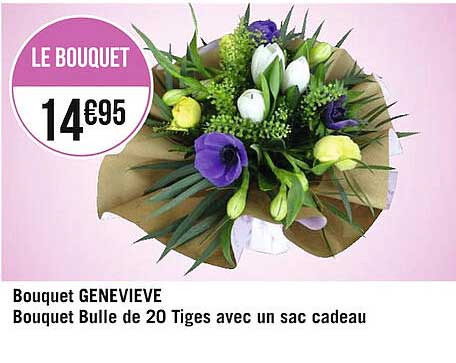 bouquet geneviève : bouquet bulle de 20 tiges avec un sac cadeau