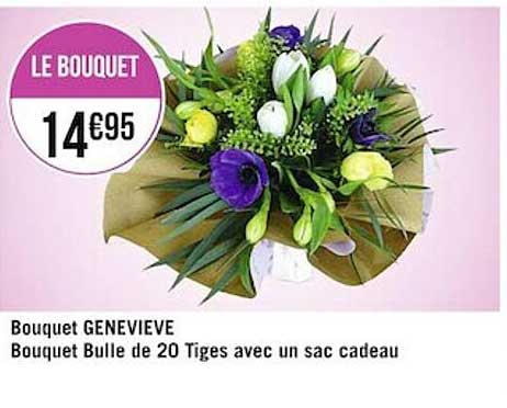 bouquet geneviève, bouquet bulle de 20 tiges avec un sac cadeau