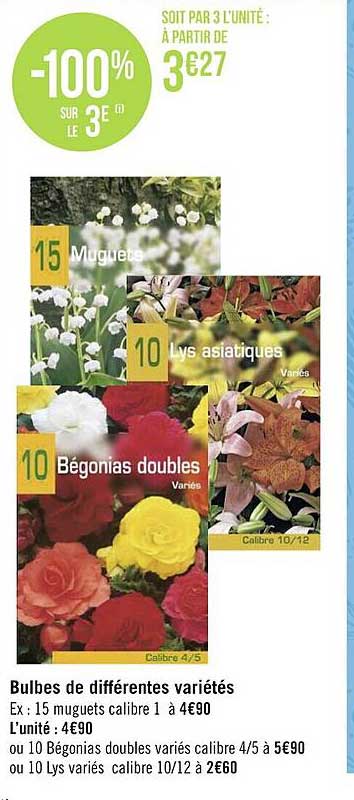 bulbes de différentes variétés