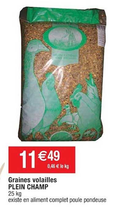 graines volailles plein champ