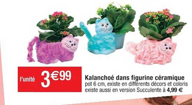kalanchoé dans figurine céramique