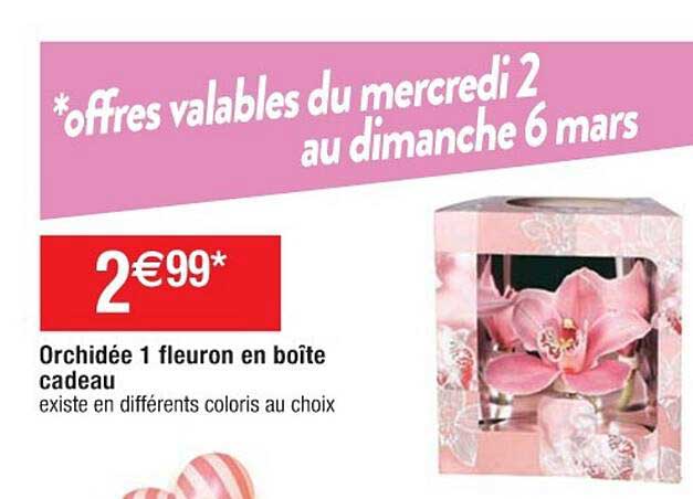 orchidée 1 fleuron en boîte cadeau