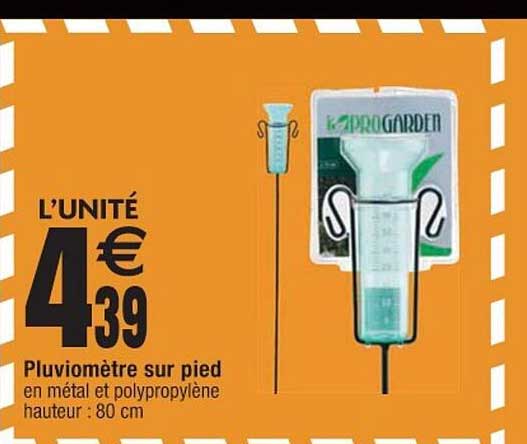 Pluviomètre Sur Pied