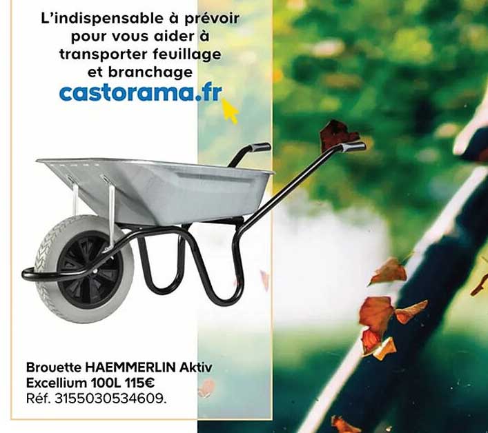 brouette haemmerlin aktiv excellium 100 l