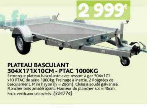 plateau basculant 304 x 171 x 10 cm - ptac 1000 kg