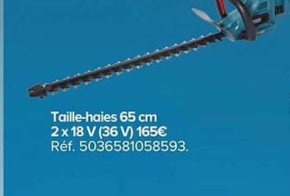 taille-haies 65 cm 2 x 18v