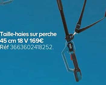 taille-haies sur perche 45 cm 18v