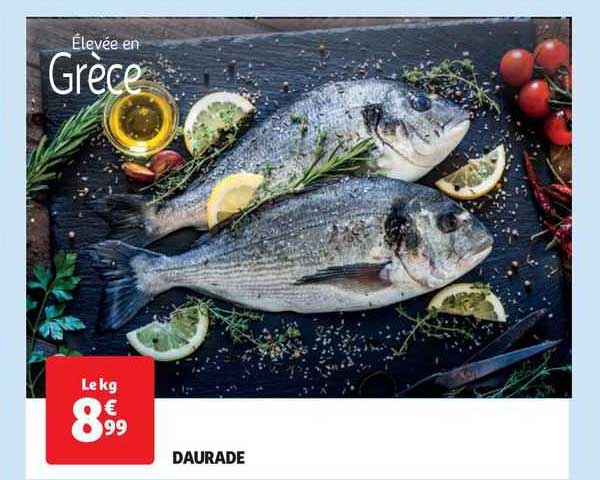 Daurade
