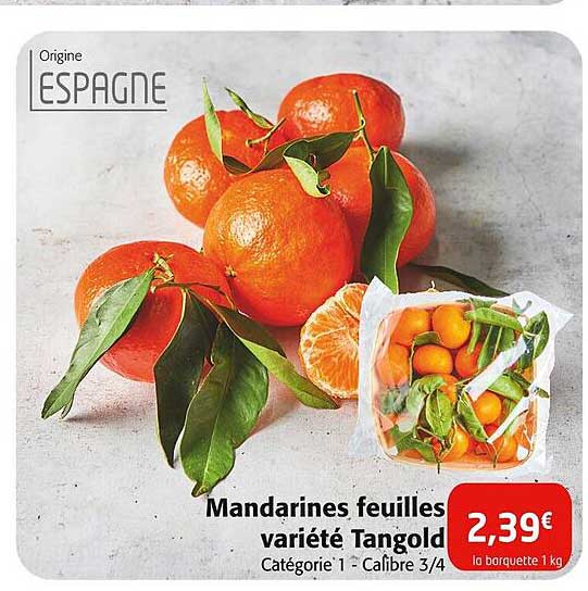 mandarines feuilles variété tangold