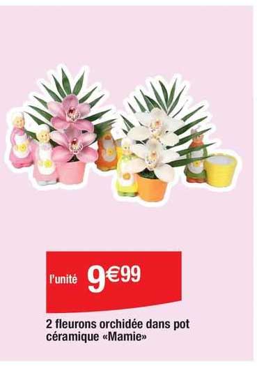 2 fleurons orchidée dans pot céramique «mamie»