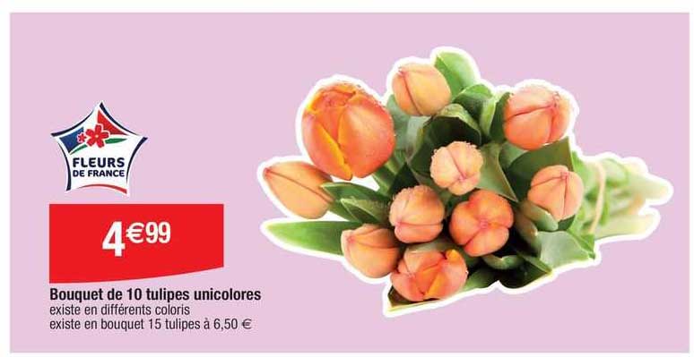 Bouquet De 10 Tulipes Unicolores